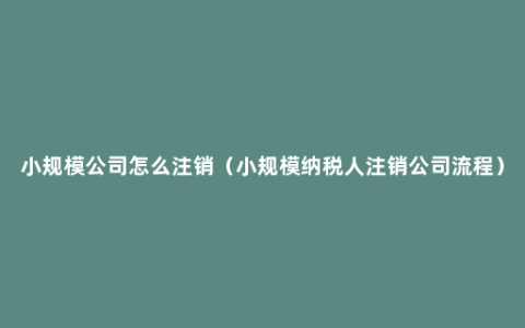 小规模公司怎么注销（小规模纳税人注销公司流程）