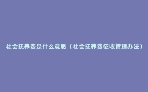 社会抚养费是什么意思（社会抚养费征收管理办法）