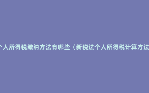 个人所得税缴纳方法有哪些（新税法个人所得税计算方法）