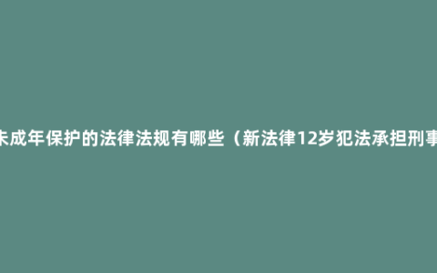 2022未成年保护的法律法规有哪些（新法律12岁犯法承担刑事责任）