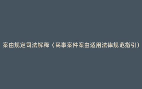 案由规定司法解释（民事案件案由适用法律规范指引）