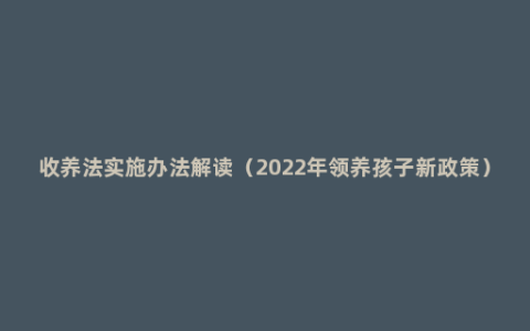 收养法实施办法解读（2022年领养孩子新政策）