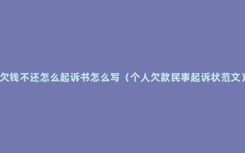 欠钱不还怎么起诉书怎么写（个人欠款民事起诉状范文）