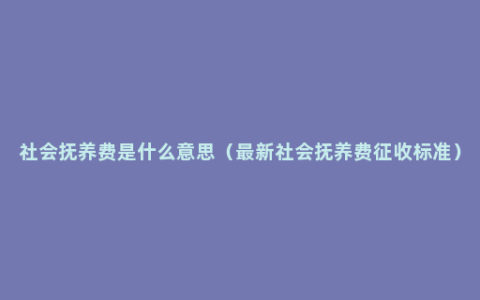 社会抚养费是什么意思（最新社会抚养费征收标准）