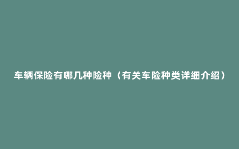 车辆保险有哪几种险种（有关车险种类详细介绍）