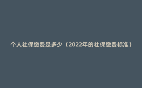 个人社保缴费是多少（2022年的社保缴费标准）