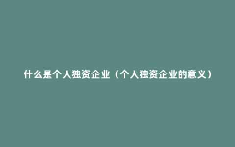 什么是个人独资企业（个人独资企业的意义）