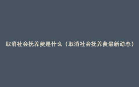 取消社会抚养费是什么（取消社会抚养费最新动态）