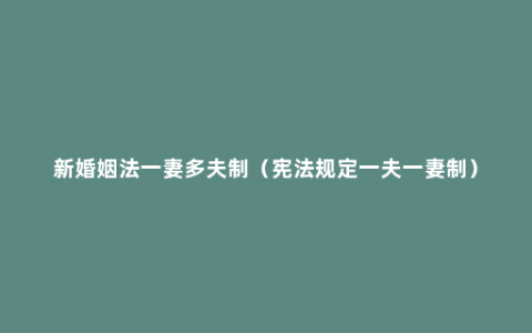 新婚姻法一妻多夫制（宪法规定一夫一妻制）