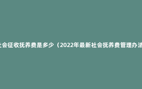 社会征收抚养费是多少（2022年最新社会抚养费管理办法）