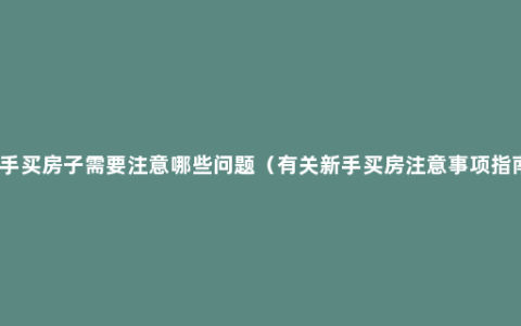 新手买房子需要注意哪些问题（有关新手买房注意事项指南）