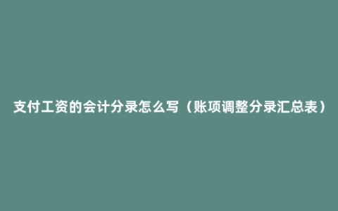 支付工资的会计分录怎么写（账项调整分录汇总表）