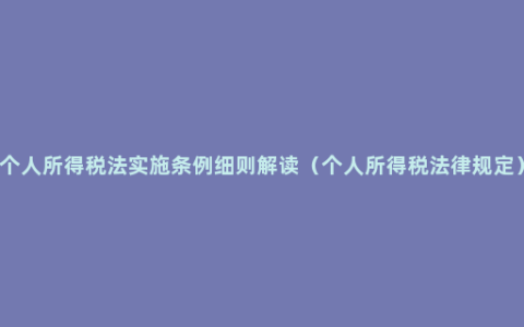 个人所得税法实施条例细则解读（个人所得税法律规定）