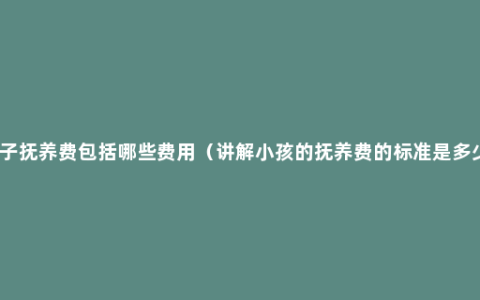 孩子抚养费包括哪些费用（讲解小孩的抚养费的标准是多少）