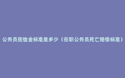 公务员抚恤金标准是多少（在职公务员死亡赔偿标准）