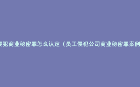 侵犯商业秘密罪怎么认定（员工侵犯公司商业秘密罪案例）