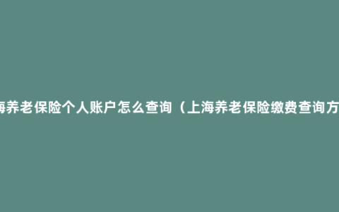 上海养老保险个人账户怎么查询（上海养老保险缴费查询方法）