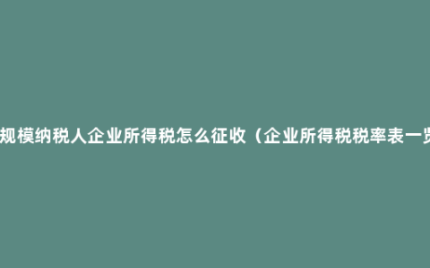 小规模纳税人企业所得税怎么征收（企业所得税税率表一览）