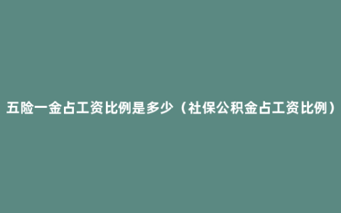 五险一金占工资比例是多少（社保公积金占工资比例）