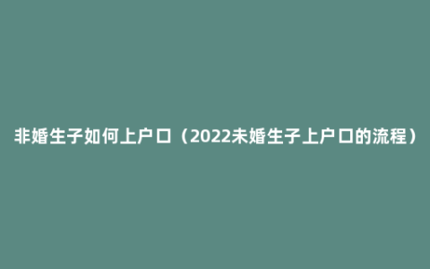 非婚生子如何上户口（2022未婚生子上户口的流程）