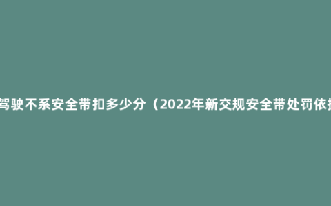 副驾驶不系安全带扣多少分（2022年新交规安全带处罚依据）