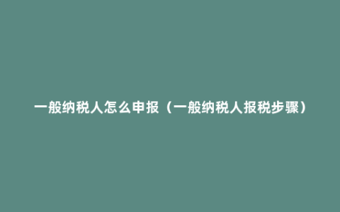 一般纳税人怎么申报（一般纳税人报税步骤）