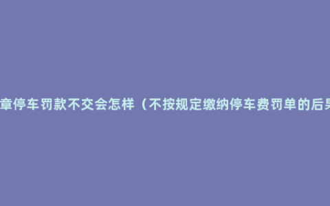 违章停车罚款不交会怎样（不按规定缴纳停车费罚单的后果）