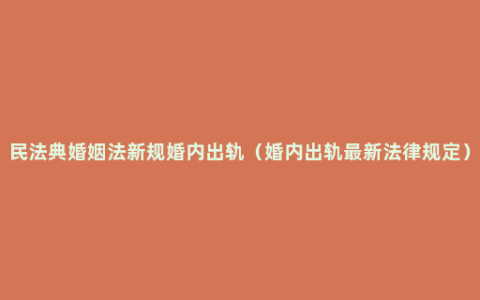 民法典婚姻法新规婚内出轨（婚内出轨最新法律规定）