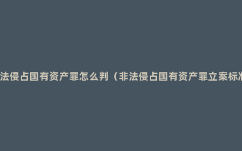 非法侵占国有资产罪怎么判（非法侵占国有资产罪立案标准）