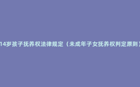 14岁孩子抚养权法律规定（未成年子女抚养权判定原则）