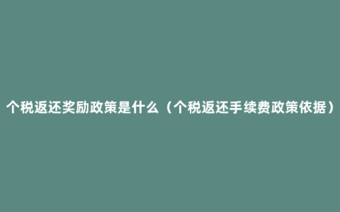 个税返还奖励政策是什么（个税返还手续费政策依据）