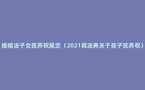 婚姻法子女抚养权规定（2021民法典关于孩子抚养权）