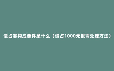 侵占罪构成要件是什么（侵占1000元报警处理方法）