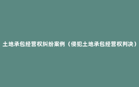 土地承包经营权纠纷案例（侵犯土地承包经营权判决）