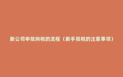 新公司申报纳税的流程（新手报税的注意事项）