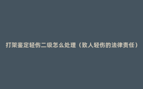 打架鉴定轻伤二级怎么处理（致人轻伤的法律责任）