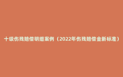 十级伤残赔偿明细案例（2022年伤残赔偿金新标准）