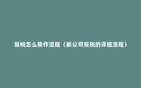 报税怎么操作流程（新公司报税的详细流程）