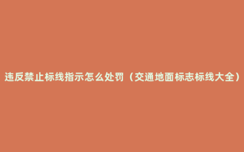 违反禁止标线指示怎么处罚（交通地面标志标线大全）