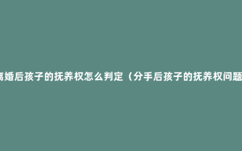 离婚后孩子的抚养权怎么判定（分手后孩子的抚养权问题）