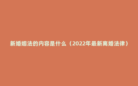 新婚姻法的内容是什么（2022年最新离婚法律）