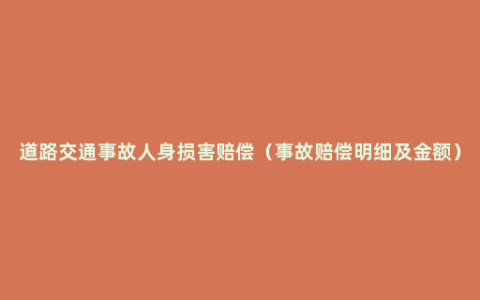 道路交通事故人身损害赔偿（事故赔偿明细及金额）