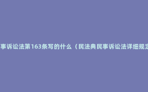 民事诉讼法第163条写的什么（民法典民事诉讼法详细规定）