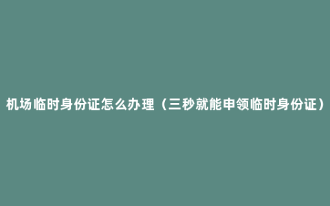 机场临时身份证怎么办理（三秒就能申领临时身份证）