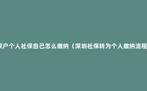 深户个人社保自己怎么缴纳（深圳社保转为个人缴纳流程）