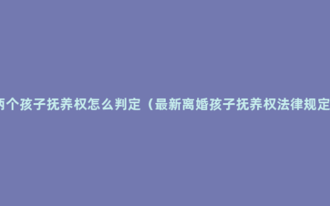 两个孩子抚养权怎么判定（最新离婚孩子抚养权法律规定）