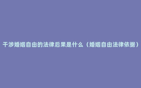 干涉婚姻自由的法律后果是什么（婚姻自由法律依据）