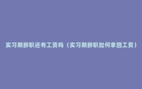 实习期辞职还有工资吗（实习期辞职如何拿回工资）