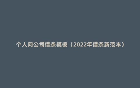 个人向公司借条模板（2022年借条新范本）