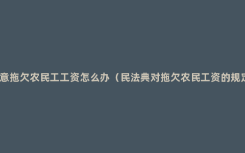 恶意拖欠农民工工资怎么办（民法典对拖欠农民工资的规定）